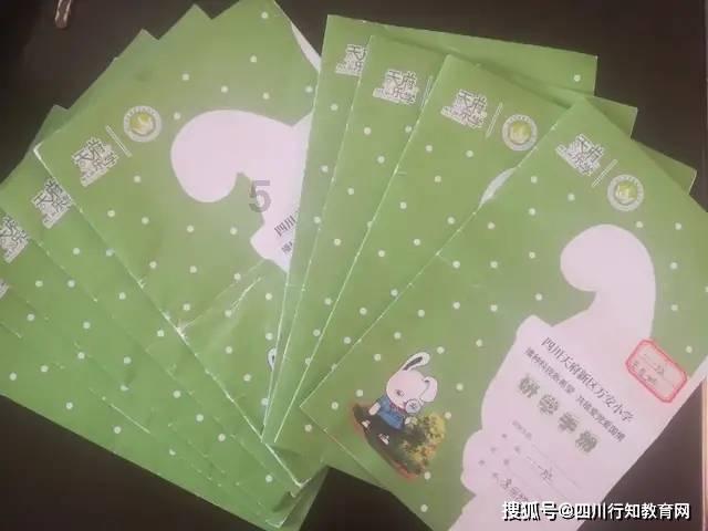 小猫钓鱼游戏龙王版有船